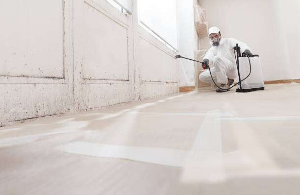 24/7 Emergency Crawl Space Mold Remediation experts in Hudgins, VA