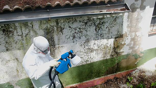 Top rated local Crawl Space Mold Remediation specialists in Hudgins, VA